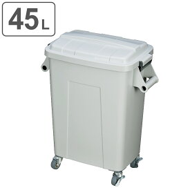 ゴミ箱 業務用 45L 厨房ダストペール （ 送料無料 ごみ箱 ダストボックス 厨房 飲食 キャスター付 大容量 45リットル ふた付き 生ゴミ 飲食店 屑入れ 屋内用 屋内 キャスター付き ）