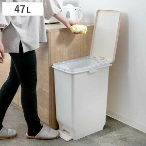 S~ 47L ӂt Zp R  X y_y[ i ݔ 47bg  28.5cm y_ Lb` rO RۉH SEPA S~  ܎~ p^ 30cm Vv j