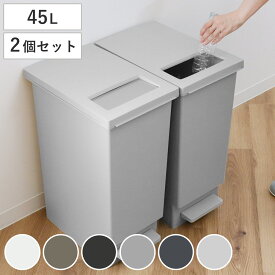 ゴミ箱 45L 同色2個セット ペダル ユニード プッシュ＆ペダル （ 45リットル ふた付き 分別キッチン ダストボックス スリム 分別ゴミ箱 棚下 カウンター下 縦型 角型 ペダルペール 蓋付き シンプル おしゃれ ）