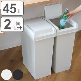 ゴミ箱 45L 同色2個セット ユニード スライドペール （ UNEED ごみ箱 45リットル 同色 2個セット 棚下OK ふた付き スライド式 スリム 分別 シンプル おしゃれ ホワイト ブラック 無地 キッチン 袋が見えない 袋止め付 ）