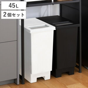 �S�~�� 45L ���F2�Z�b�g ���j�[�h �v�b�V�����I�[�v���y�[�� �i ���ݔ� 45���b�g�� �v�b�V�� ���� �L�b�`�� �V���v�� �ӂ��t�� ���� 45 2�� �܎~�ߕt�� �X���� �p�^ ������� �j