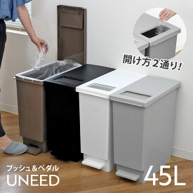 ゴミ箱 45L ペダル ユニード プッシュ＆ペダル （ 45リットル ふた付き 分別キッチン ダストボックス スリム 分別ゴミ箱 棚下 カウンター下 縦型 角型 ペダルペール 蓋付き シンプル おしゃれ 小窓 プラスチック ）