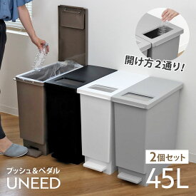 ゴミ箱 45L 同色2個セット ペダル ユニード プッシュ＆ペダル （ 45リットル ふた付き 分別キッチン ダストボックス スリム 分別ゴミ箱 棚下 カウンター下 縦型 角型 ペダルペール 蓋付き シンプル おしゃれ ）