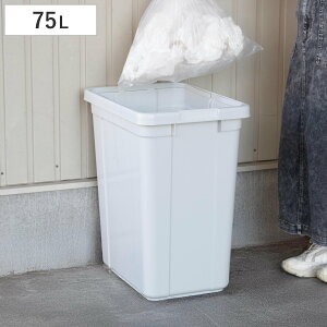 �S�~�� 75L �G�R�y�[�� �{�̂̂� �i 75 ���b�g�� �_�X�g�{�b�N�X ��e�� �v���X�`�b�N ���ݔ� �p�^ ������ ���� �������� �R�S�~ �s�R�S�~ �ƒ�S�~ �� �� �y�b�g�{�g�� ��� �I�t�B�X �J�t�F