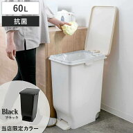 【当店オリジナルカラー】ゴミ箱 60L ふた付き セパ 抗菌 分別 スリム ペダルペール （ 当店限定カラー …