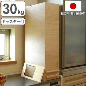 Ăт 30kgp vʕĂт LX^[t ANWŒg₷Ăт i { 30kg  ğC ߂т X   h 1v a ːĂт  [ ۑ v Xg