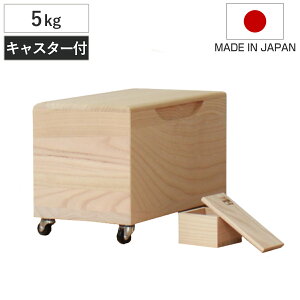 Ăт 5kg ˂̕Ăт n LX^[t ꍇ ؂_t i  { ğC ߂т   h  y 5L a ːĂт  [ ۑ t CX{bNX 