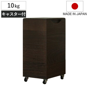 Ăт 10kg ˂̕Ăт c^ ċ LX^[t i  { ğC ߂т   h 10L a ːĂт  [ ۑ XgbJ[ CX{bNX CXXgbJ[ 