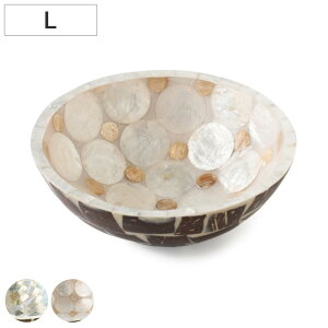 ANZT[g[ VFgC LTCY a13cm i ANZT[gC gC WG[gC CeAgC g[ L[gC  ANZT[ O  nR 