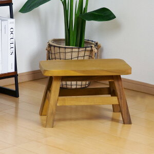 Xc[ ʍ25.5cm VR i EbhXc[ qǂ ֎q LbY ~j`FA ~jXc[ i ؐ lp `  fBXvC ω׏d 100kg j