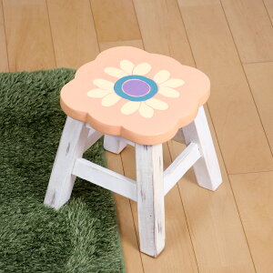 Xc[ ʍ25`26cm sNt[ VR i EbhXc[ qǂ ֎q LbY ~j`FA ~jXc[ i  t[`[t  fBXvC ω׏d 100kg ؐ j