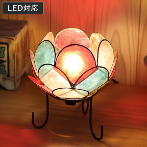 X^hCg S JsX[^Xv 20W i JsXVF Ɩ  Cg LED VF E12 Ɩ JXsL AWAv g CeA LEDΉ E12 dt  @ R