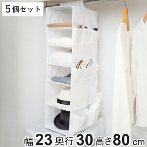 ݂艺[ 6i ߗ [ 23×s30×80cm 5Zbg N[[bg[ i [  ݂艺 pCvnK[ ݂邷 V ^ h~ Xq sDz ߗގ[  ݉[