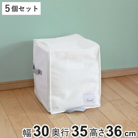 収納袋 衣類 小物 棚上マルチ収納 幅30×奥行35×高さ36cm 5個セット クローゼット収納 （ 収納 収納ケース 衣類ケース 洋服 衣替え 衣類収納 不織布 すき間収納 クローゼット 隙間 衣類袋 ケース 通気性 ホワイト ）