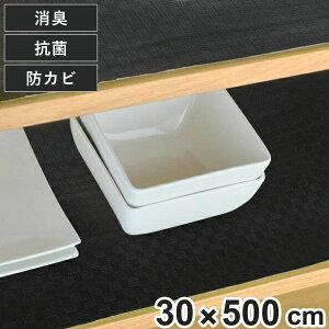 HIV[g |Y 30×500cm L R hJr H HI V[g { i HIp یV[g I~V[g ɂ ɂ h~ o Yɂ ~ }bg h~ 