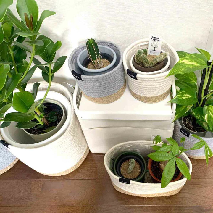 Plant Plan S ロープ 4号 プラントプラン 麻 プランター 観葉植物 植木鉢カバー プランターカバー モノトーン 3号 コットンロープ