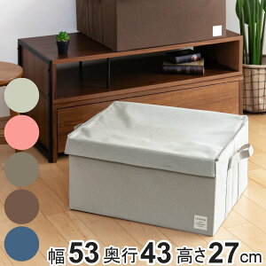 [{bNX XgAi` LL 53×s43×27cm Wt z ܂肽 i [P[X [ Ci[{bNX z t@ubN ߗގ[ RpNg t  ۊ 