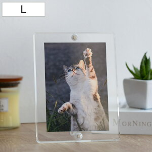 }Op` tHgt[ X^_[h LTCY i tHgX^h ʐ^ }Olbg AN {   u^ Ǌ| X^h ʐ^ c  ʐ^t[ ʐ^ Ce