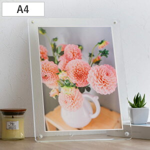 }Op` tHgt[ X^_[h A4TCY i tHgX^h ʐ^ }Olbg AN {   u^ Ǌ| X^h ʐ^ c  ʐ^t[ ʐ^ Ce