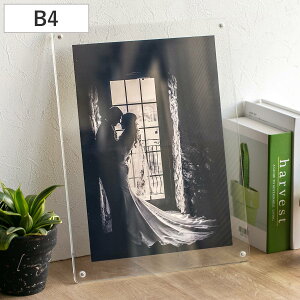 }Op` tHgt[ X^_[h B4TCY i tHgX^h ʐ^ }Olbg AN {   u^ Ǌ| X^h ʐ^ c  ʐ^t[ ʐ^ Ce