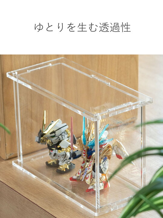 楽天市場】【レビュー特典付き】 ディスプレイケース Cタイプ amenist 