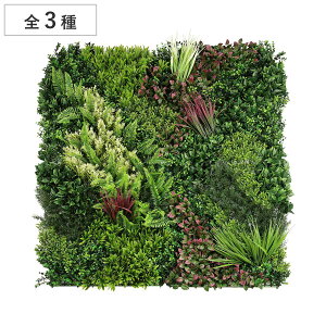 tFCNO[ moreleaf A[t ǖ 4g i lHϗtA ϗtA   A t ȒP Ǌ| A ANZg fR[V  CeA G ǖʗΉ j