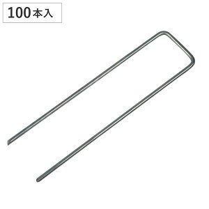 Us ^tlC xUs i [^[t ps 100{ O[ lHŃ[ ŐV[g lHŗp lH Œs St { Vo[ B j
