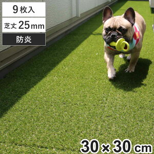 lH WCg [^[t XNGA 30×30cm 9 i lH  WCg A  x_ K[f }bg h ϋv `  eX oRj[  GNXeA K