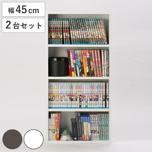 コミックラック 幅45cm 2台セット 240冊収納 連結可能 ( 漫画本 コミック CD DVD 文庫本 ゲームソフト 本 収納 マンガ 薄型 奥行 スリム 奥行16.5cm 棚 省スペース 積み重ね可能 子供部屋 書棚 コミ