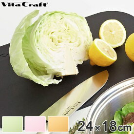 Vita Craft（ビタクラフト） まな板 24×18cm 日本製 抗菌 （ 俎板 マナイタ まないた 食洗機対応 抗菌まな板 カッティングボード 長方形 下ごしらえ キッチンツール ）