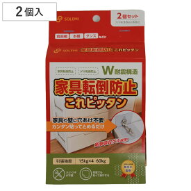 家具転倒防止 これピッタン 2個入り 工具 穴あけ 不要 耐震グッズ （ 地震対策 ストッパー 耐震用 震災 滑り止め 賃貸 耐震ゲル 引張強度60kg 耐震ジェル 家具固定 シール 防災グッズ 繰り返し使える 転倒防止板 地震 防災 ）