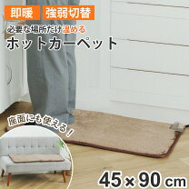 ホット カーペット ソファー 用の通販