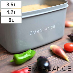 EMBALANCE ۑe t[hRei i 3.5L 4.2L 6L p^ ی^ GoX vX`bN Ⓚ ① Nxێ { BPAt[ Hiۑ ʂЂ [^ fЂ X|bg ݂|bg ݂ X 