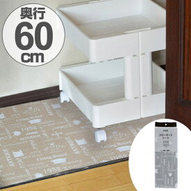 【先着】最大400円OFFクーポン有！ 防虫クローゼットシート 60×180cm 消臭 防カビ 抗菌 加工 （ 防虫シート 押入れ収納 棚敷きシート クローゼット用 床保護 棚敷き 傷防止 保護 フリーカット 押入れ 押し入れ シート 押し入れ用 柄 入り ）