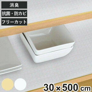 HIV[g 30×500cm L R hJr H HI V[g x[W i H ی h~ t[Jbg I~ HIp Iی Hی HINX I~V[g j