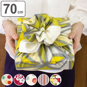 C~ _K[ 70cm 100 { i C~ tVL 啗C~  Rbg I[KjbNRbg a  obO  n ӂ낵obO  GRobO ֗ g 