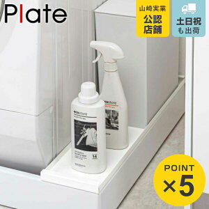 R plate @hpドbN v[g zCg i 4903208049689 hp p Ԏ[ ʏ[ ʏ h[[ Ԏ[ ܎[ bN {g j