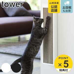 yr[Ttz R tower L̒܂ƂP[X ^[ i 4903208042109 ^[V[Y u Ǌ| ܂Ƃ [ ybgpi lR ˂ Lpi R P[X u ߂Ƃ ܓu 