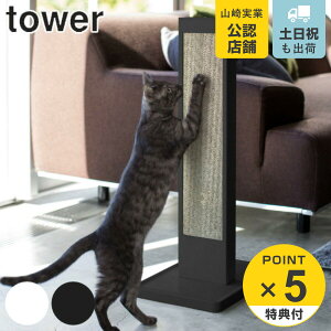 yr[Ttz R tower L̒܂ƂX^h ^[ i 4903208042123 ^[V[Y L ܂ƂP[X cu X^h^Cv lR ˂ Lpi ܂Ƃ R P[X X^h ߂