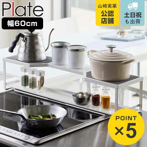 R plate RbN v[g rCJo[t 60cmRp zCg i 4903208056519  R bN  RbN R Jo[t 60cm [ 2i rCJo[ R