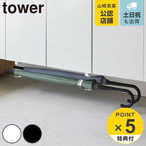 yr[Ttz R tower 钷nK[ ^[ 2g i 4903208058896  [ nK[ʔ [  ֎[ ȃXy[X ȒP ݒu ʔ obg 