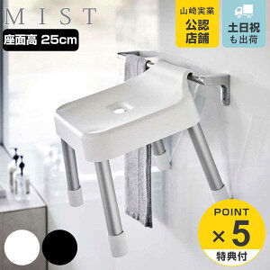 R MIST |CCX ~Xg SH 25 CCX 25cm i 4903208073059 C֎q oX`FA ݂艺 C ~ ʍ25cm C   CX ֎q Ђ |  