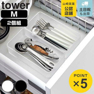 R tower ꂪNA cd˂o[P[X ^[ M 2g i 4903208036429 ^[V[Y  fXN o [ o[ fXN[ d؂ {bNX  