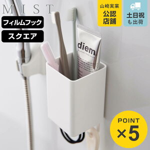R mist tBtbNXg[W{bNX ~Xg XNGA i 4903208021708 ~XgV[Y [ tBtbN ǖʎ[ [P[X Xg[W{bNX tbNt d؂t ①
