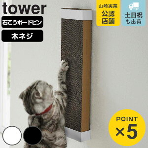R tower ΂{[hǑΉEH[Lp܂Ƃz_[ ^[ i 4903208040969 ^[V[Y Lp܂Ƃ ܂Ƃz_[ ΂{[hs Lp lR ˂ Lpi z_[ X`[