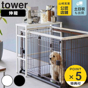 yr[Ttz R tower LkybgP[WドbN ^[ i 4903208040860 ^[V[Y P[WドbN Lk ybgpi ybgP[W ybgP[WドbN LkbN 