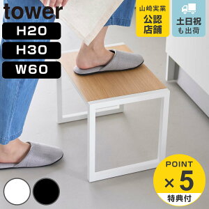 yr[Ttz R tower ݑ ^[ H20 H30 W60 i ^[V[Y ӂݑ  Xebv Xc[ r ~ i qǂ 1i 20cm 30cm 60cm j