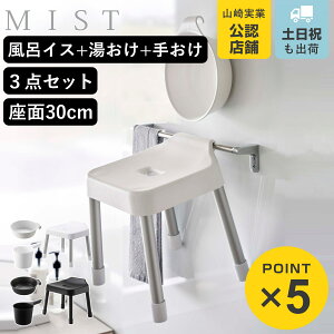 R MIST |CCX SH30+}Olbg|+}Olbg肨 3_Zbg ~Xg i 4903208073073 oX`FA ʍ30cm  ʊ 艱 ǖ  zCg ubN 