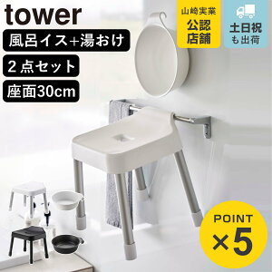 R MIST |CCX SH30+}Olbg| 2_Zbg ~Xg i 4903208073073 oX`FA ʍ30cm  ʊ 艱 ǖ  zCg ubN j