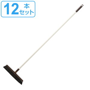 ق 130cm DailyClean R 12{Zbg i ق  12{ ݂ق zEL ݃zEL Ɩp|pi RzEL Rق |pi bv| Ɩp wZ H r| |pi